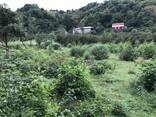 Продаётся земля в Ортабатуми, возле реки, 9 км. от Батуми.