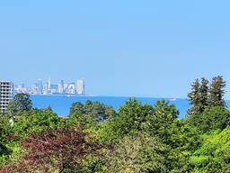 Seaview Commercial land in Chakvi for sale, 1019м2 with a house 60м2!