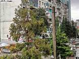 Продажа квартиры в Батуми - фото 2