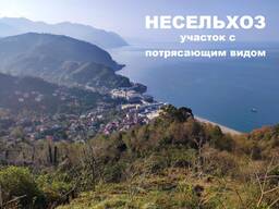 Продажа участка