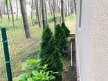 Продажа загородного дома в Шеквитили на первой линии - фото 7