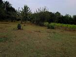 Продажа земли - фото 1
