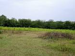 Продажа земли - фото 2