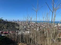 Продажа землия в Батуми