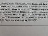 Пшеница 3 и 4 класс. Казахстан. - фото 2