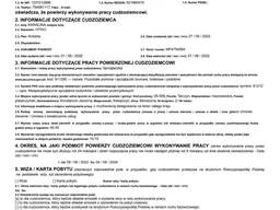 Разрешение на работу в Польшу, национальная виза D, Рабочая виза