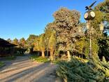 Сдается 2-комнатная квартира, 70 м², Чакви в жк Dreamland Oasis - фото 11