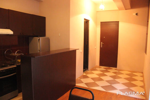 Сдается квартира возле метро Руставели