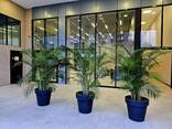 Сдается Уютная и светлая 2-х комнатная квартира - фото 7