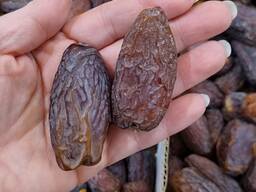 თარიღები