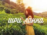 Туры на Шри Ланку - фото 1