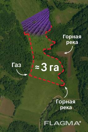 Участок с лавандовым полем — 3 гектара твоей свободы в окружении гор и родников!