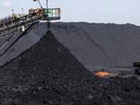 Угольный концентрат - photo 1