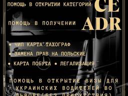 Услуги