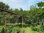 В Батуми продается земельный участок 3500 кв. м с домом в Чарнали. - фото 3