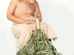 Веники из эвкалипта сезон 2026