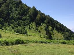 Видовой участок 1 га в горах Аджарии под турбазу / eco-resort