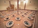 Винодельческий завод с виноградниками в Хашми - photo 7