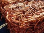 Wholesale 99.9 Percent Pure Bright Copper Wire Scrap - photo 3