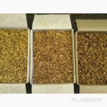 Ядро грецкого ореха