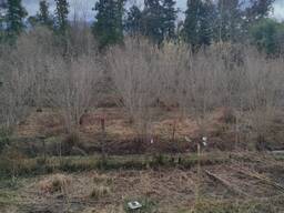 Земельный участок