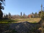 Земельный участок - photo 1