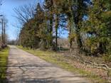 Земельный участок - photo 2