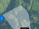 Земельный участок - фото 1