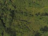 Земельный участок - photo 2