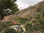 Земельный участок с домом в Батуми- Гантияди -Land plot with a house in Batumi - Gantiyadi - photo 1