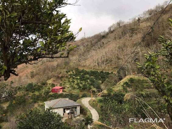 Земельный участок с домом в Батуми- Гантияди -Land plot with a house in Batumi - Gantiyadi