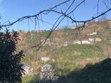 Земельный участок с домом в Батуми- Гантияди -Land plot with a house in Batumi - Gantiyadi - photo 8