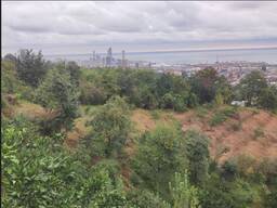 Земельный участок с видом на море/Land plot with sea view