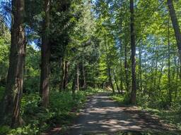 Земельный участок в селе Сачино