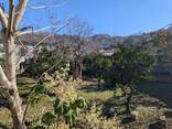 Земельный участок в Тодогаури - фото 3