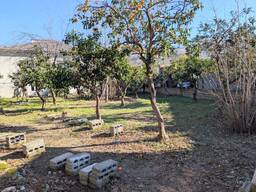 Земельный участок в Тодогаури