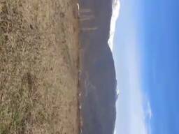 Земля сельхозназначения