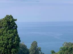 Земля в Квариати