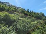 Земельный участок - photo 6