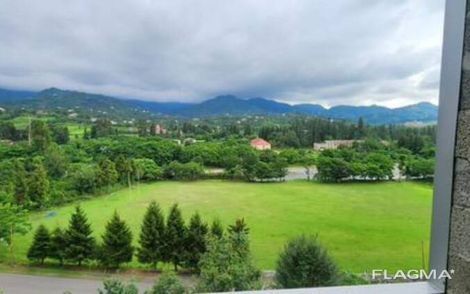 ნაკვეთი