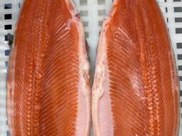 შავი ზღვის ორაგული. გამოშიგნული, უთავო.